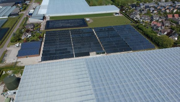 The largest solar process heat system in Europe launched in the Netherlands