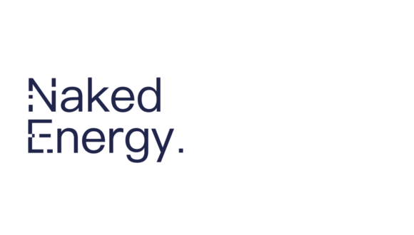 Solar Heat Europe welcomes Naked Energy as its new member