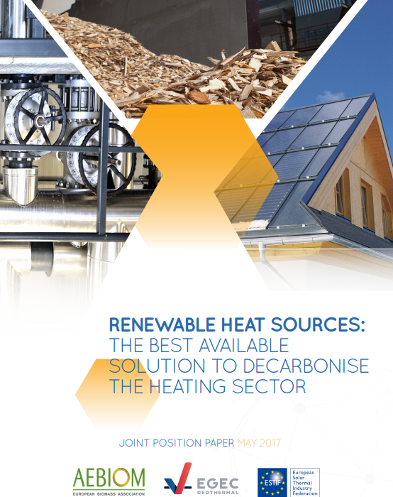 Renewable Heat Sources: the best available solution to decarbonise the heating sector