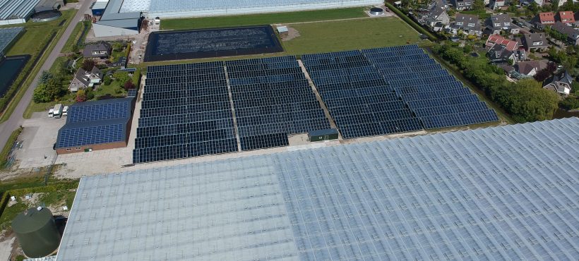 The largest solar process heat system in Europe launched in the Netherlands